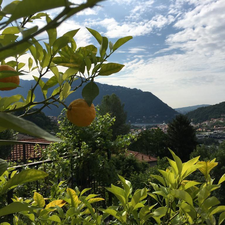 Country House Cozzena Villa Maslianico Exterior photo